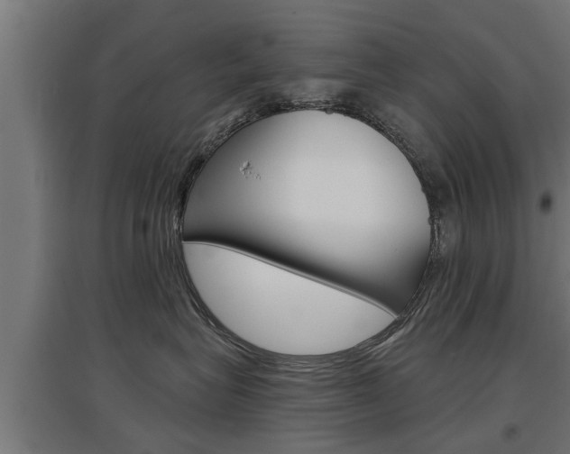 X0000097630575200802290847
