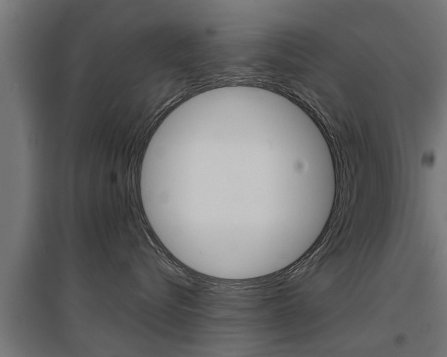 X0000097630576200802290847