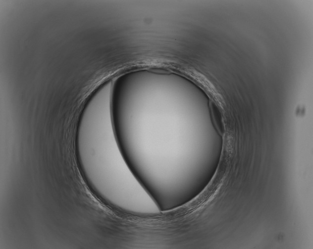 X0000097630577200802290846