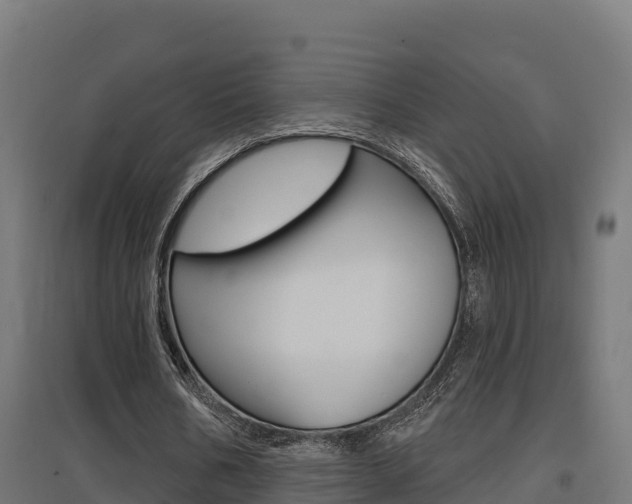 X0000097630578200802290846