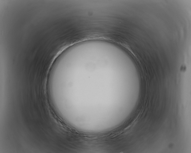 X0000097630579200802290846