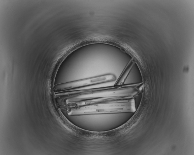 X0000097630581200802290846