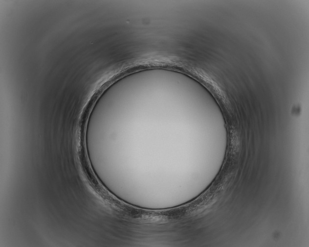 X0000097630582200802290846