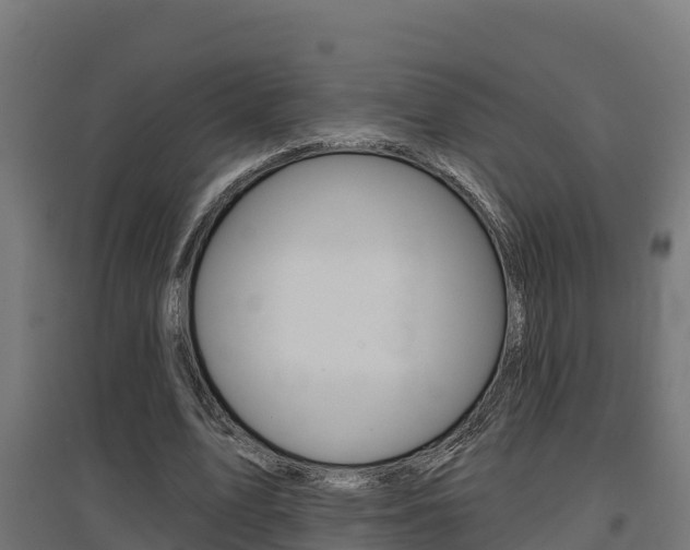 X0000097630583200802290846