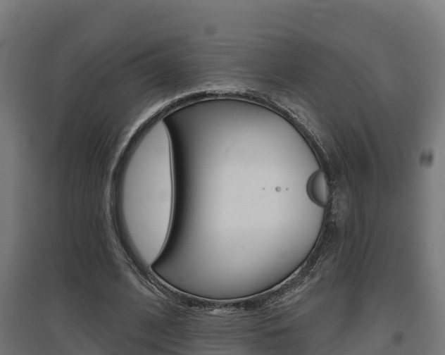 X0000097630584200802290846
