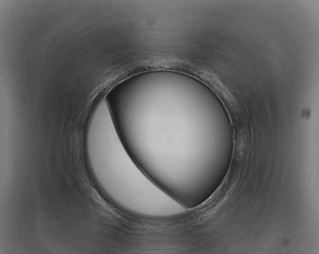 X0000097630585200802290846