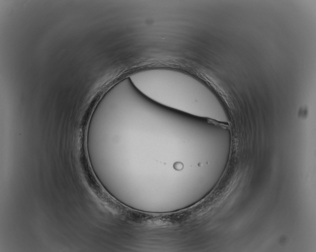 X0000097630586200802290846
