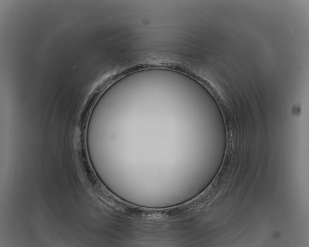 X0000097630587200802290846