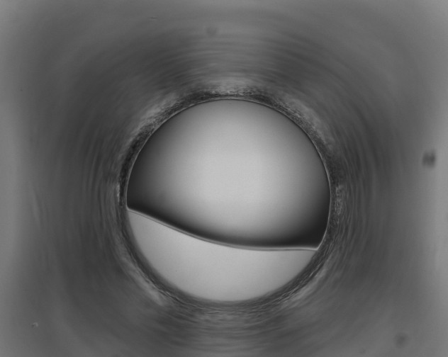 X0000097630589200802290846