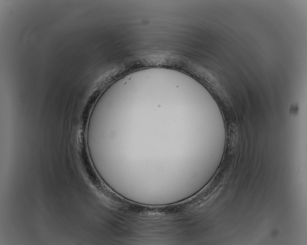 X0000097630590200802290846