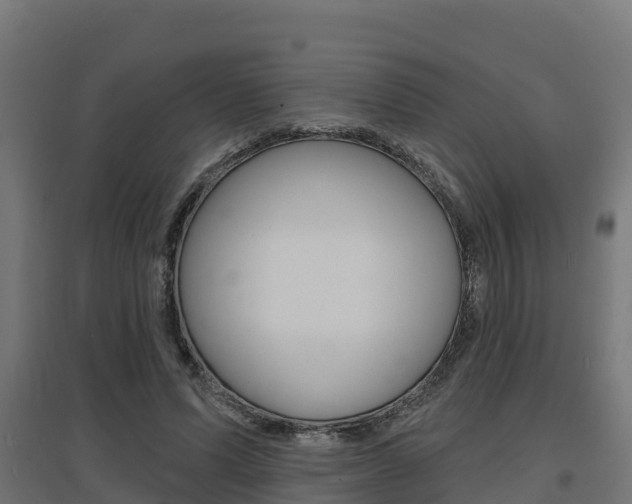 X0000097630591200802290846
