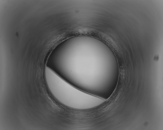 X0000097630593200802290846