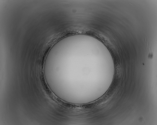 X0000097630594200802290846