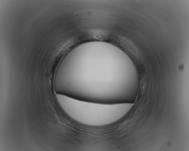 X0000097630595200802290846