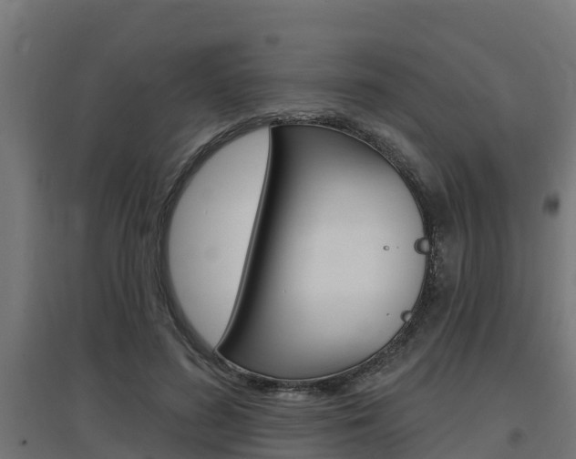 X0000097630596200802290846