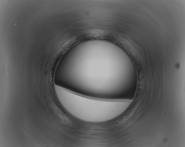 X0000097630597200802290846