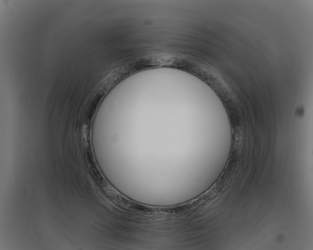 X0000097630598200802290846