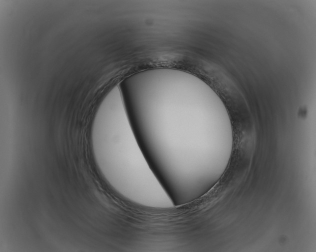 X0000097630599200802290846