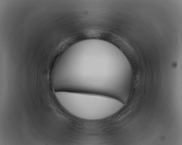 X0000097630600200802290846