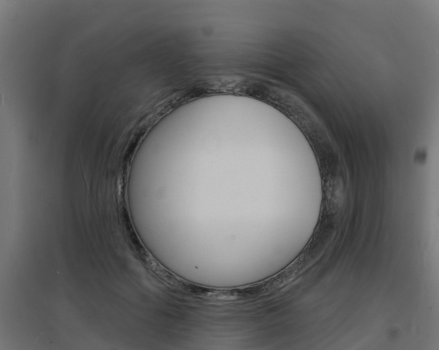 X0000097630602200802290846