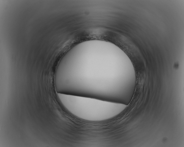 X0000097630603200802290846