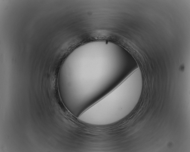 X0000097630604200802290846