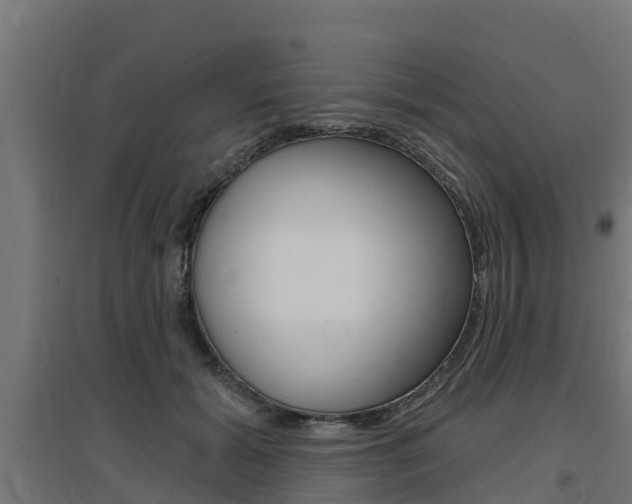 X0000097630605200802290846