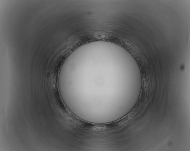 X0000097630606200802290846
