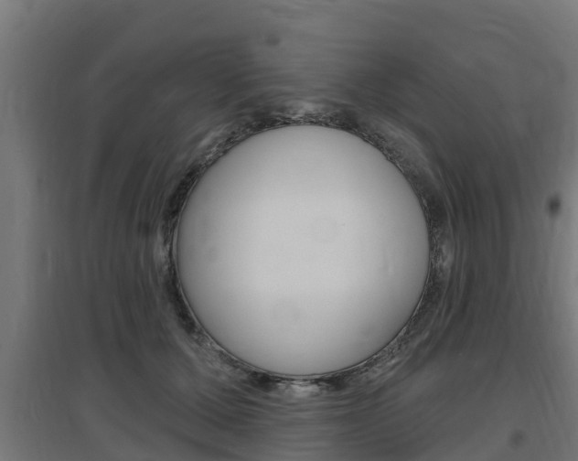 X0000097630607200802290846