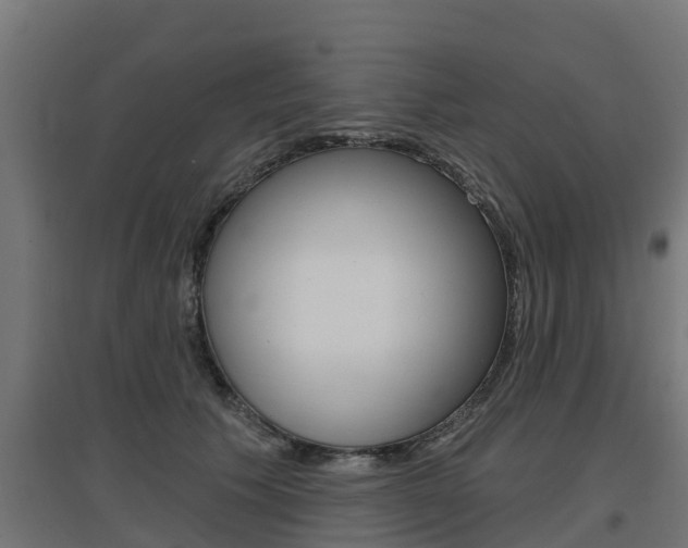 X0000097630609200802290846