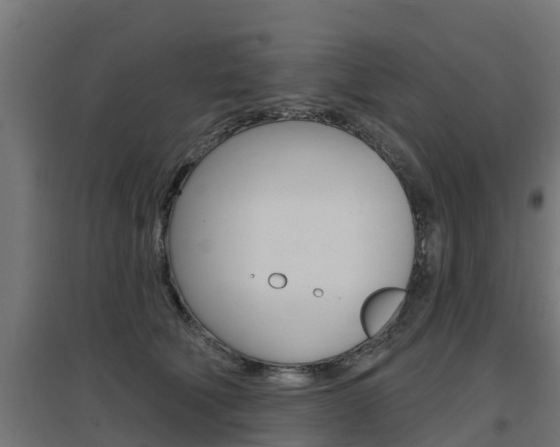X0000097630610200802290846