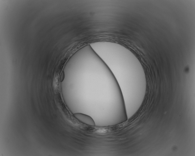 X0000097630611200802290846