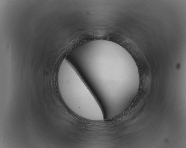 X0000097630612200802290846