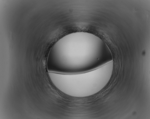 X0000097630613200802290846