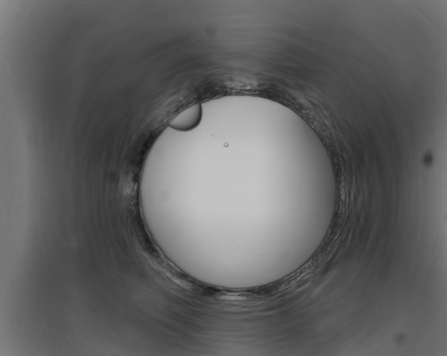 X0000097630614200802290846