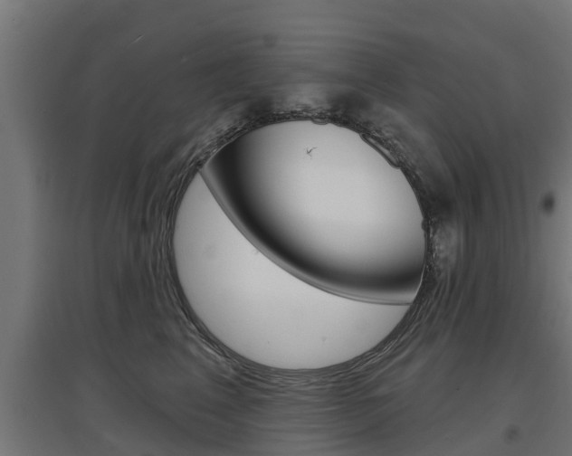 X0000097630617200802290846