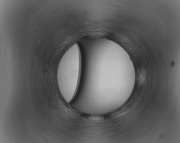 X0000097630619200802290846