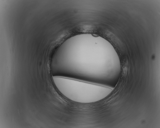 X0000097630620200802290846