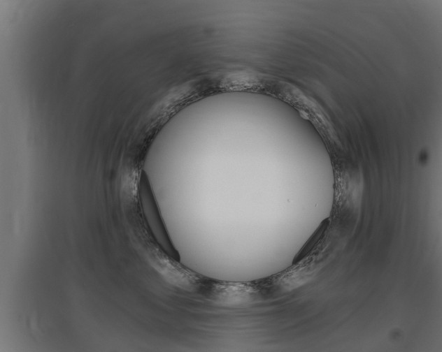 X0000097630621200802290846