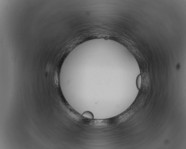 X0000097630622200802290846