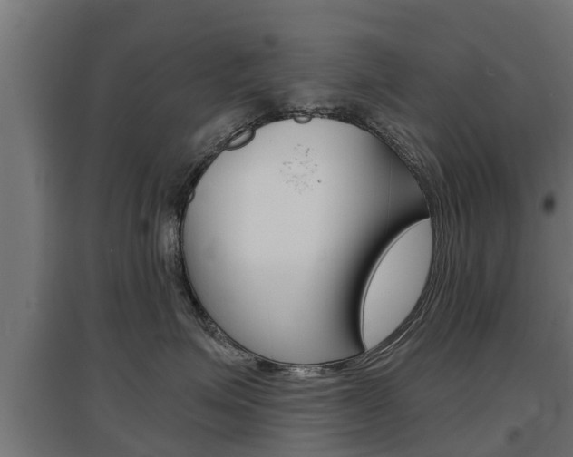 X0000097630623200802290846