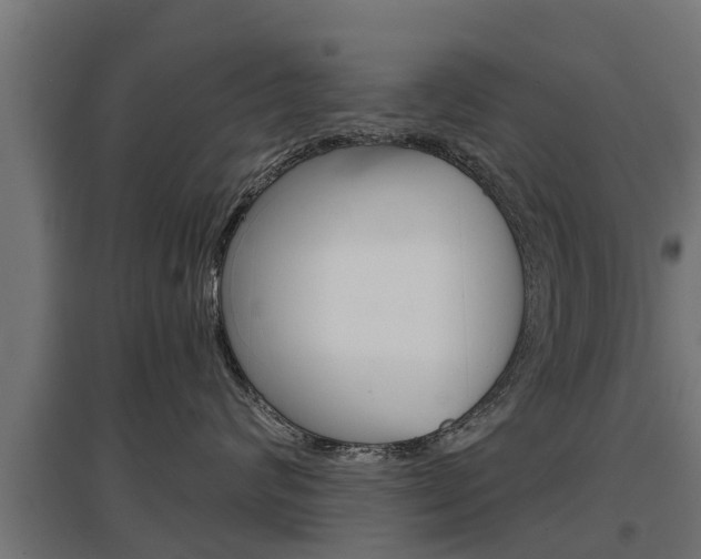 X0000097630624200802290846