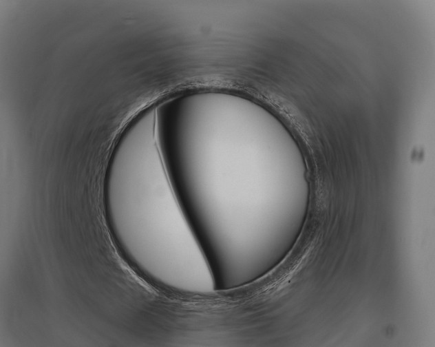 X0000097630625200802290845