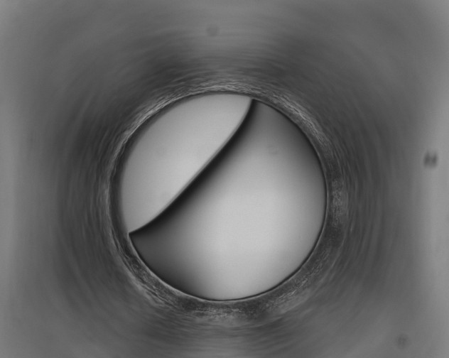 X0000097630626200802290845