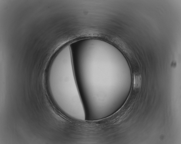 X0000097630627200802290845
