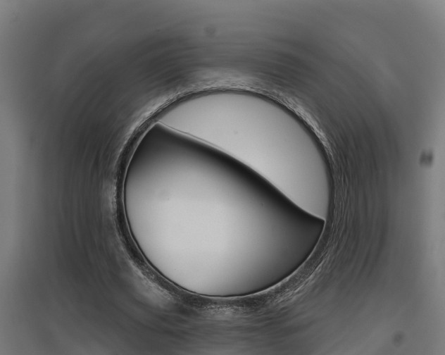 X0000097630629200802290845
