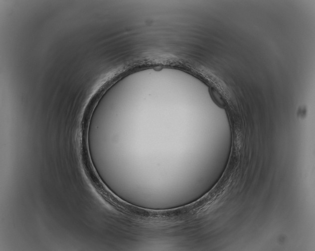 X0000097630630200802290845