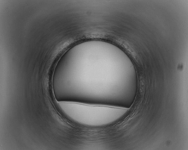 X0000097630631200802290845