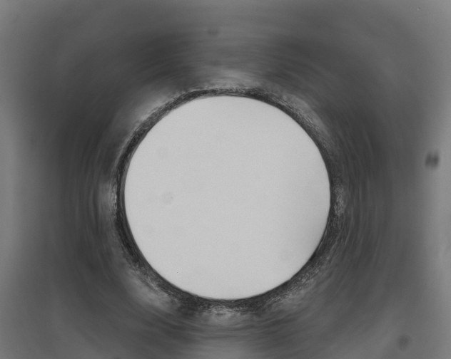 X0000097630632200802290845