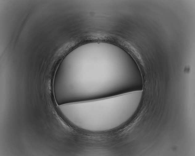 X0000097630633200802290845
